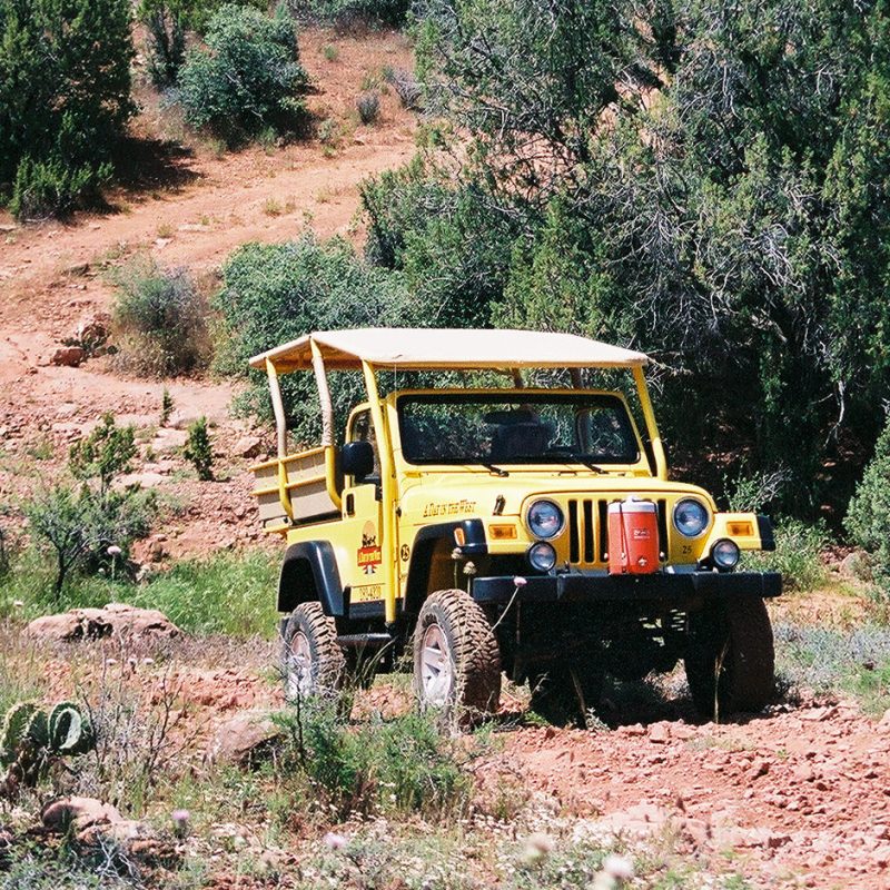 yellow jeep in wilderness